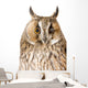 Owl White Wall Mural