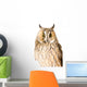 Owl White Wall Mural