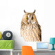 Owl White Wall Mural