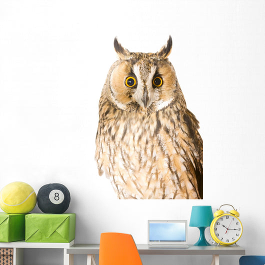 Owl White Wall Decal Design 2