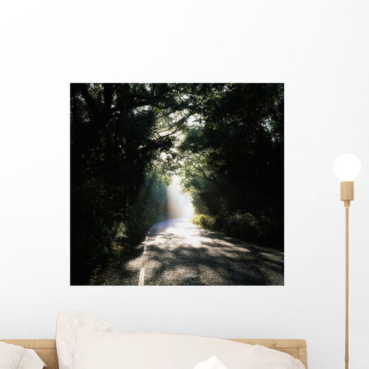 Treelined Road Wall Mural