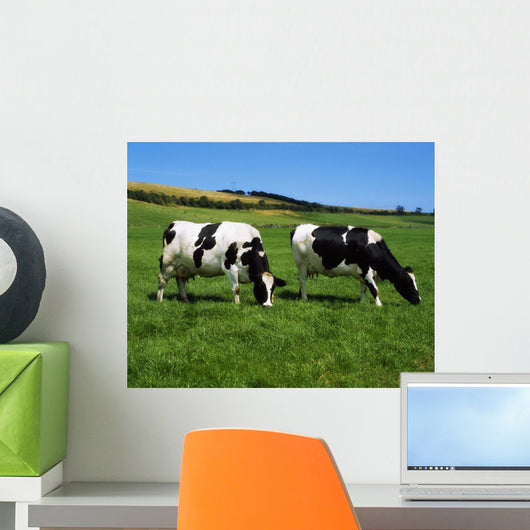 County Cork, Ireland, Dairy Cattle Wall Mural