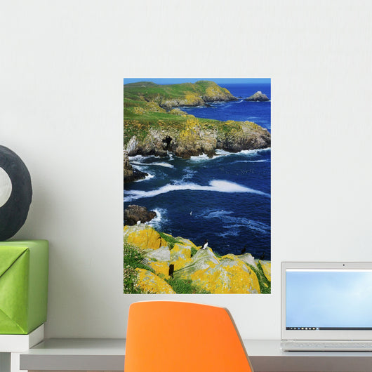 Saltee Islands, Co Wexford, Ireland Wall Mural