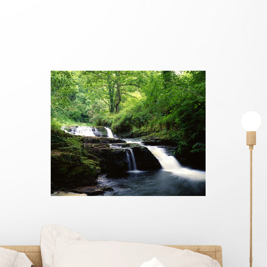 Clare Glens, Co Limerick, Ireland Wall Mural
