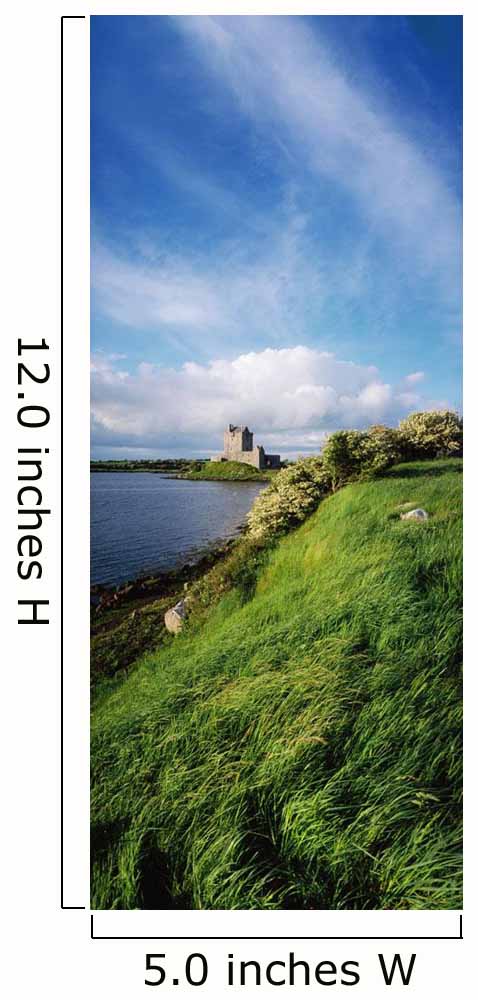 Dunguaire Castle, Kinvara, Co Galway, Ireland Wall Mural