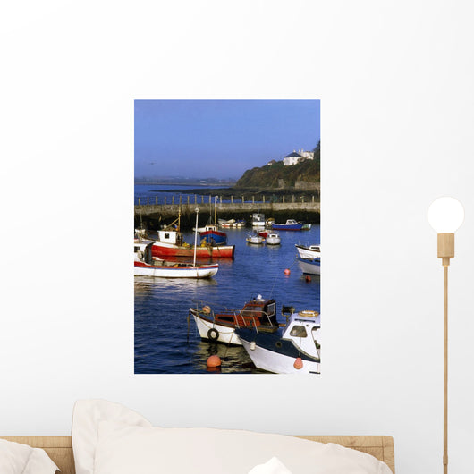 Ballycotton, Co Cork, Ireland Wall Mural