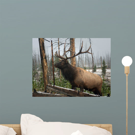 Elk Yosemite Wall Decal