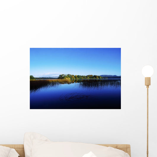 Cottage Island, Lough Gill, Co Sligo, Ireland Wall Mural