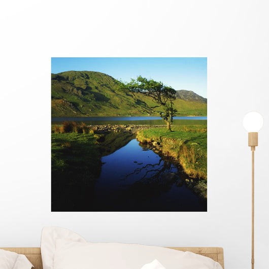 Co Galway, Kylemore Lough, Benbaun Mountain Connemara Wall Mural