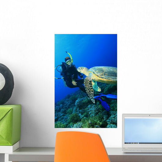 Turtle meets Scuba Diver Wall Mural