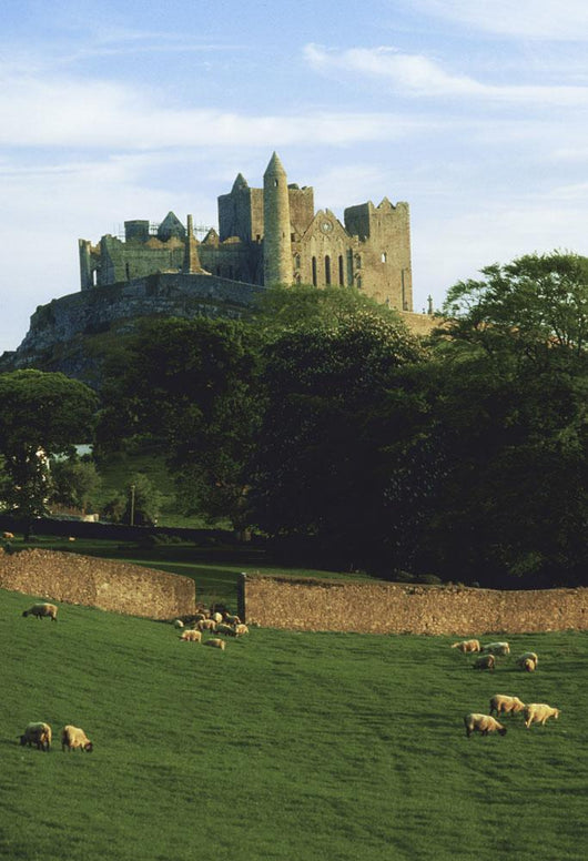 Rock Of Cashel, Co Tipperary, Ireland Wall Mural