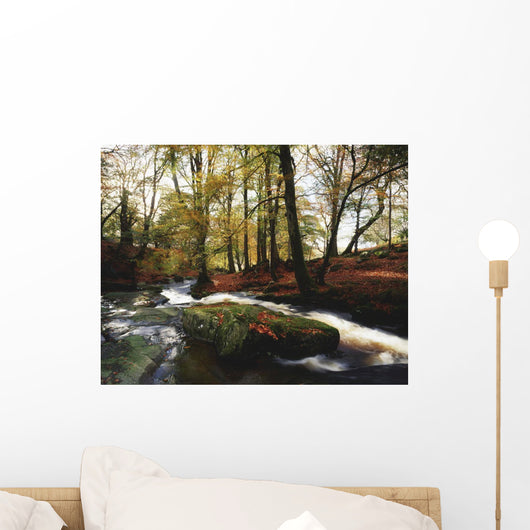 Sally Gap, County Wicklow, Ireland Wall Mural