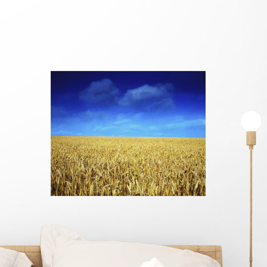 Co Louth,Ireland;Wheat Field Wall Mural