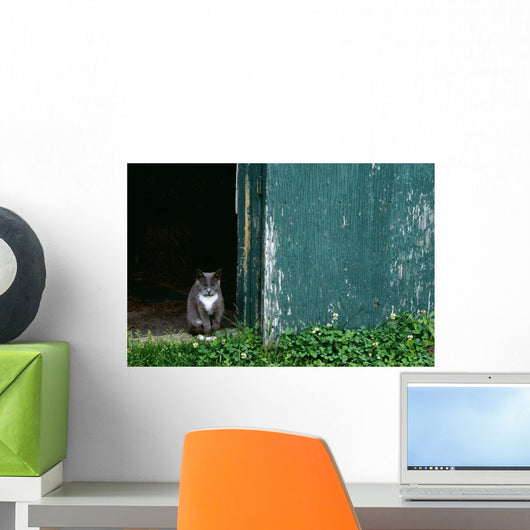 Cat In A Doorway Wall Mural