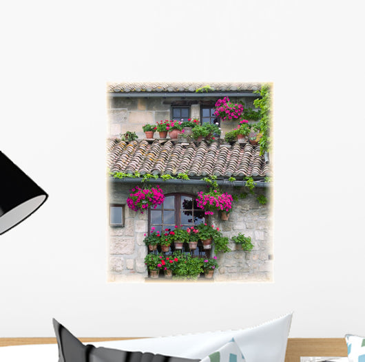 Flower Pots In Windows In Arles, Provence, France Wall Mural