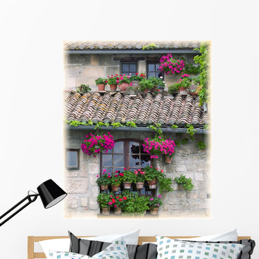 Flower Pots In Windows In Arles, Provence, France Wall Mural