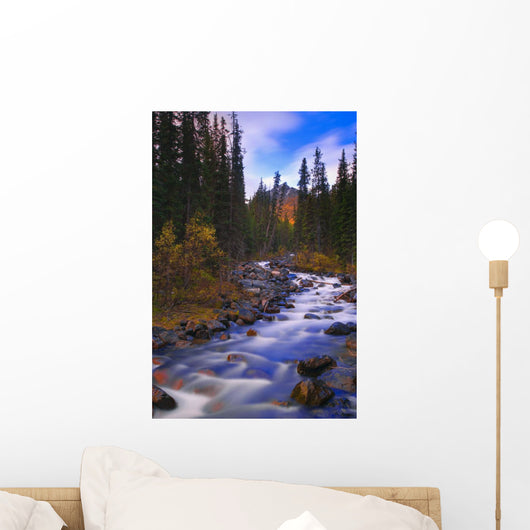 Moraine Creek, Banff National Park, Alberta, Canada Wall Mural