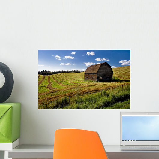 Old Barn In A Field Wall Mural