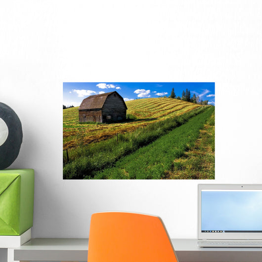 Old Barn In A Field Wall Mural
