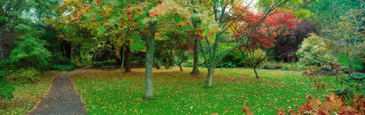 Irish Gardens Wall Mural