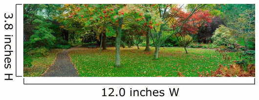 Irish Gardens Wall Mural