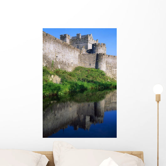 Cahir Castle, River Suir, County Tipperary, Ireland Wall Mural