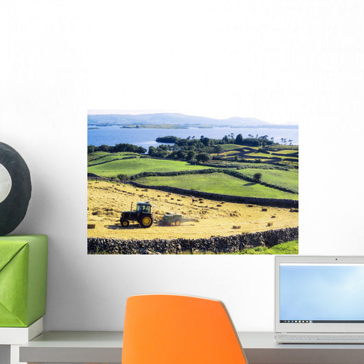 Hay Making, Lough Corrib, Co Galway, Ireland Wall Mural