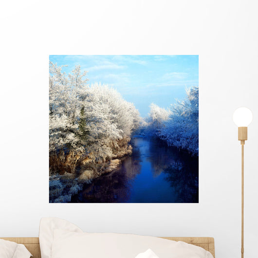 River Bann, Co Armagh, Ireland Wall Mural
