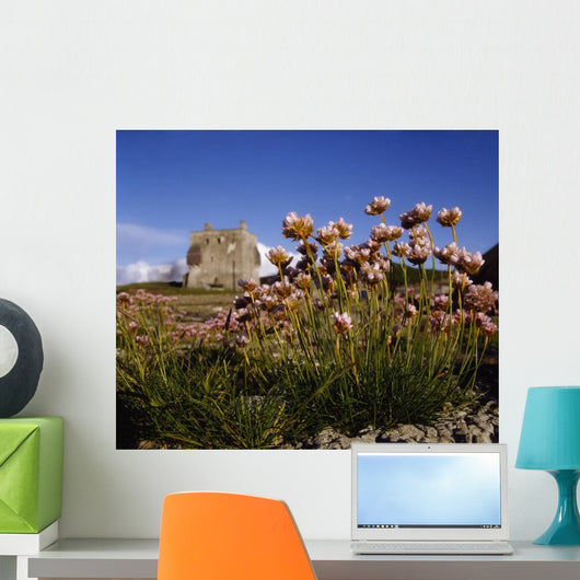 Kildownet Castle, Achill Island, Co Mayo, Ireland Wall Mural