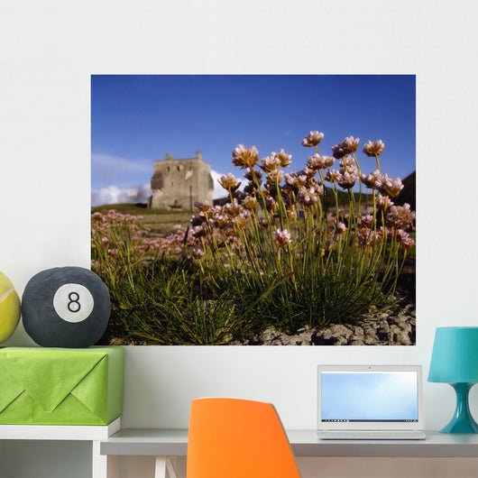 Kildownet Castle, Achill Island, Co Mayo, Ireland Wall Mural