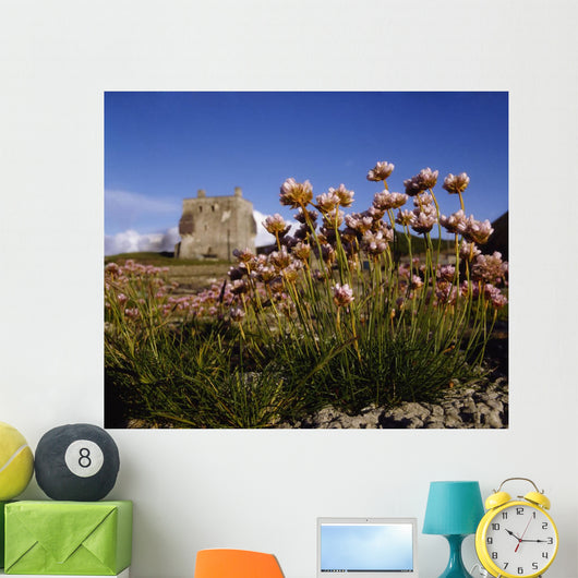 Kildownet Castle, Achill Island, Co Mayo, Ireland Wall Mural