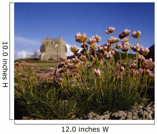 Kildownet Castle, Achill Island, Co Mayo, Ireland Wall Mural