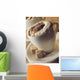 Cappuccino Wall Mural