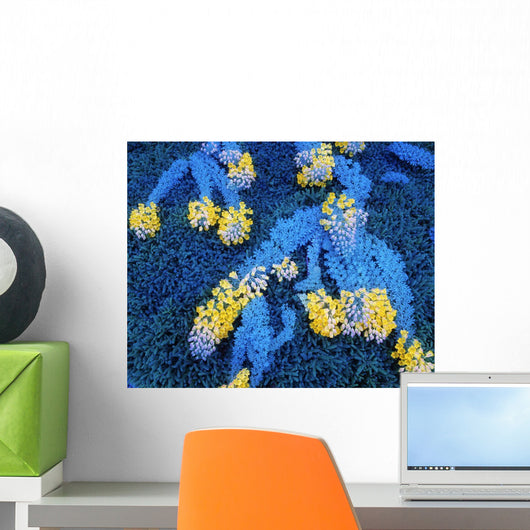 Nasturtium & Abies Wall Mural