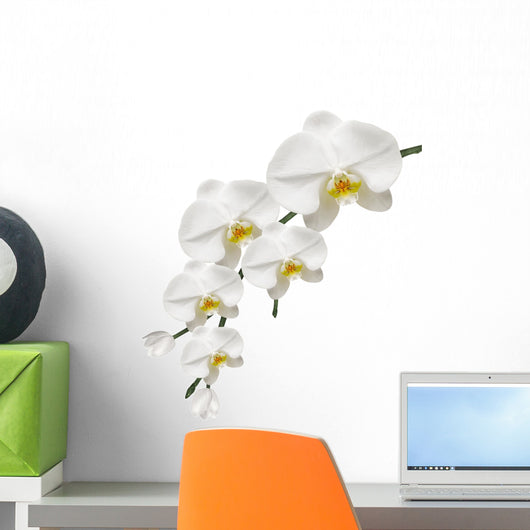 Orchid White and Purity Wall Decal