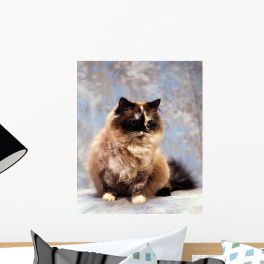 Cat Wall Mural