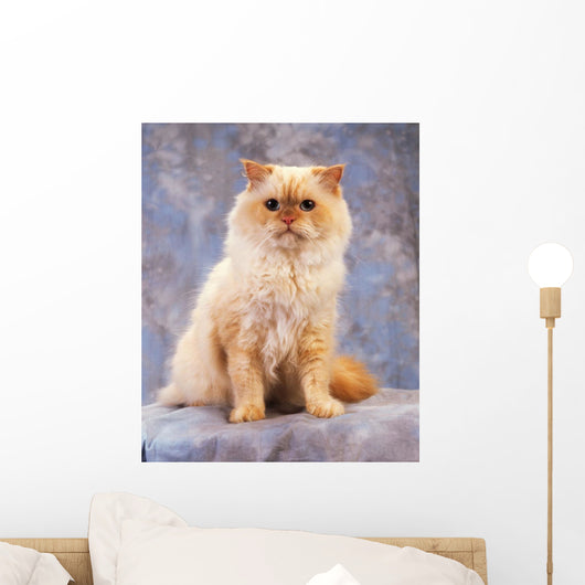 Cat Wall Mural