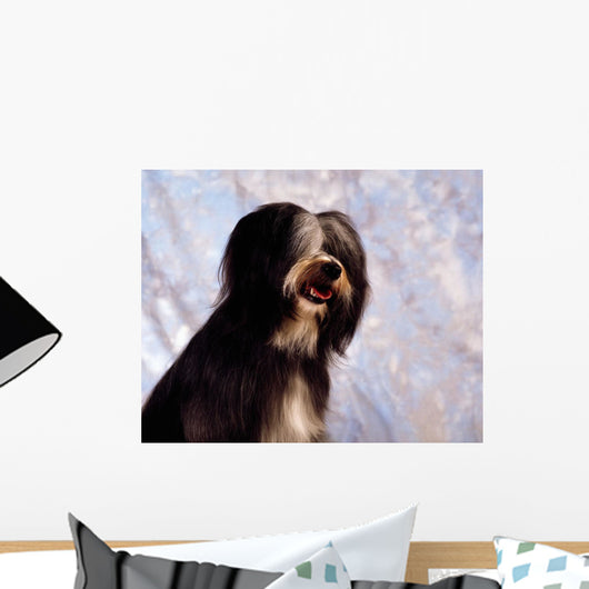 Tibetan Terrier Wall Mural