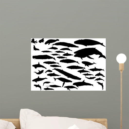 Marine Mammal