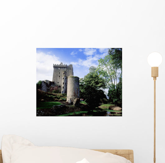 Blarney Castle, County Cork, Ireland Wall Mural
