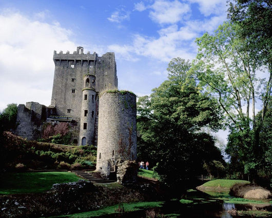 Blarney Castle, County Cork, Ireland Wall Mural