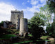 Blarney Castle, County Cork, Ireland Wall Mural