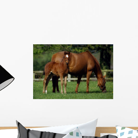 Thoroughbreds Mare & Foal, Ireland Wall Mural