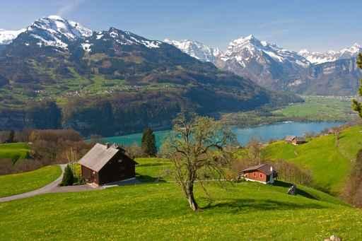 Alpine Landscape Spring Walensee Wall Decal