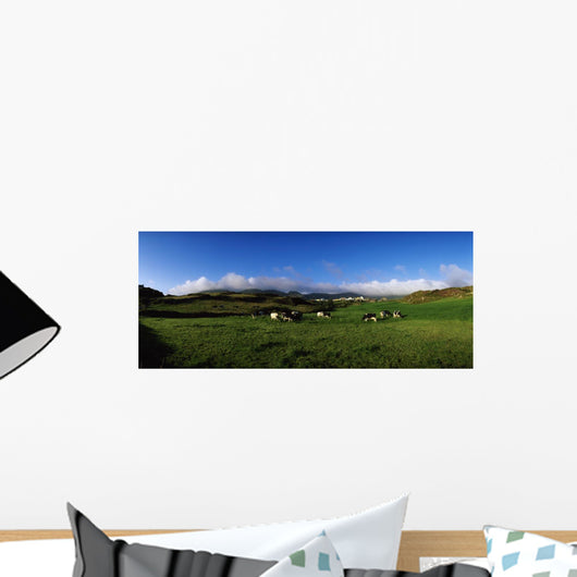 Friesian Cattle, Allihies, Co Cork, Ireland Wall Mural