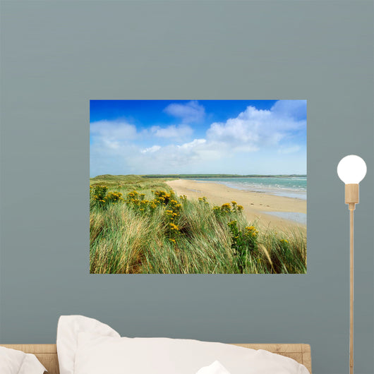 Sandunes At Fethard, Co Wexford, Ireland Wall Mural