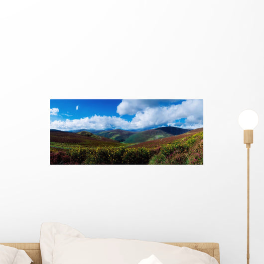 Country Road, Near Luggala Mountain, Co Wicklow, Ireland Wall Mural