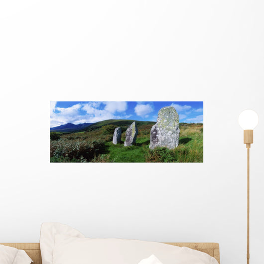 Standing Stone Alignment Wall Mural