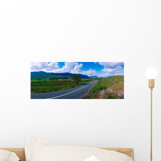 Road From Westport To Leenane, Co Mayo, Ireland Wall Mural