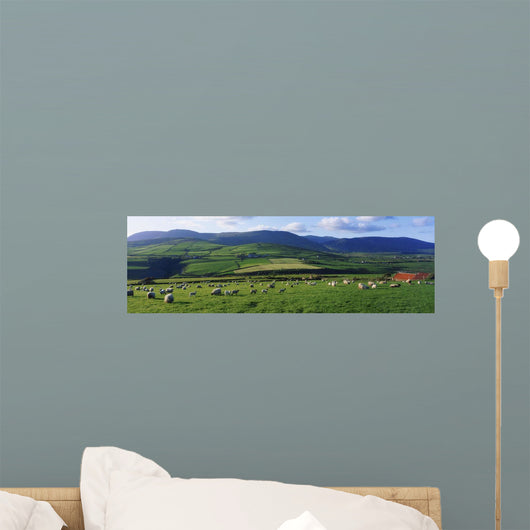 Pastoral Scene Near Anascual, Dingle Peninsula, Co Kerry, Ireland Wall Mural